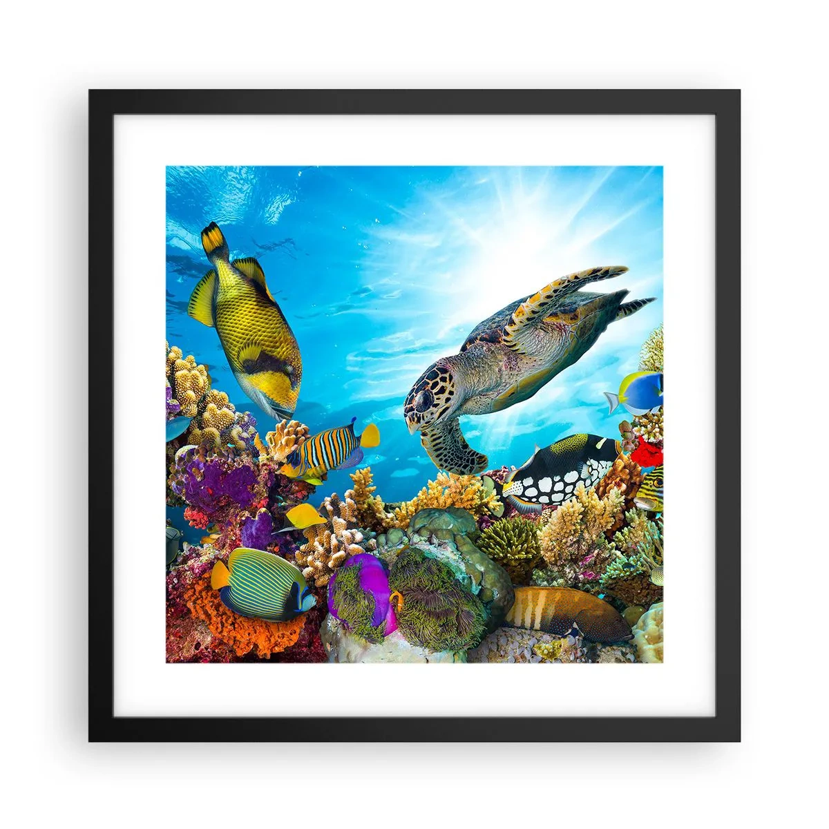 Poster in een zwarte lijst - Koraalpromenade - 40x40 cm