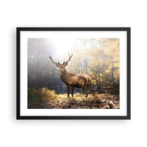 Poster in een zwarte lijst - In volle majesteit - 50x40 cm