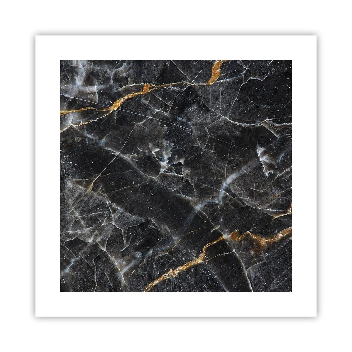 Poster - Het innerlijke leven van de steen - 40x40 cm