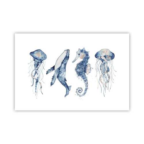 Poster - Zee wonderen - 91x61 cm