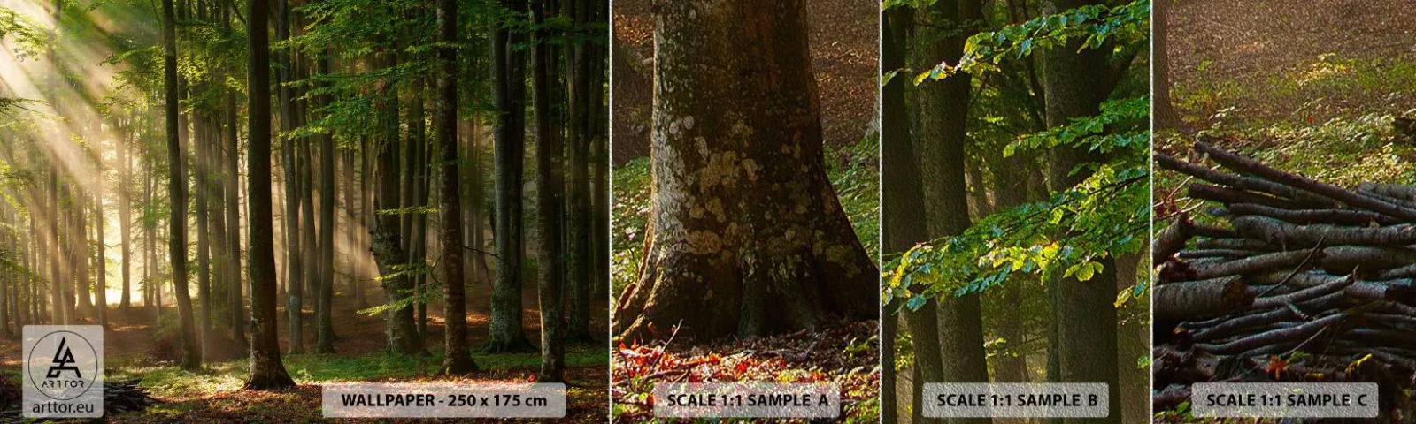 Fotobehang Monster Premium Sand - Stralend op een lentemorgen - Landschap, Woud, Park - 100x30 cm