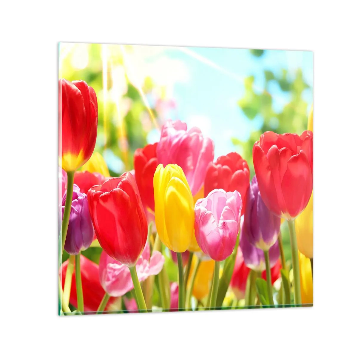 Schilderen op glas - Dat zijn wij, de kleuren van mei! - 30x30 cm