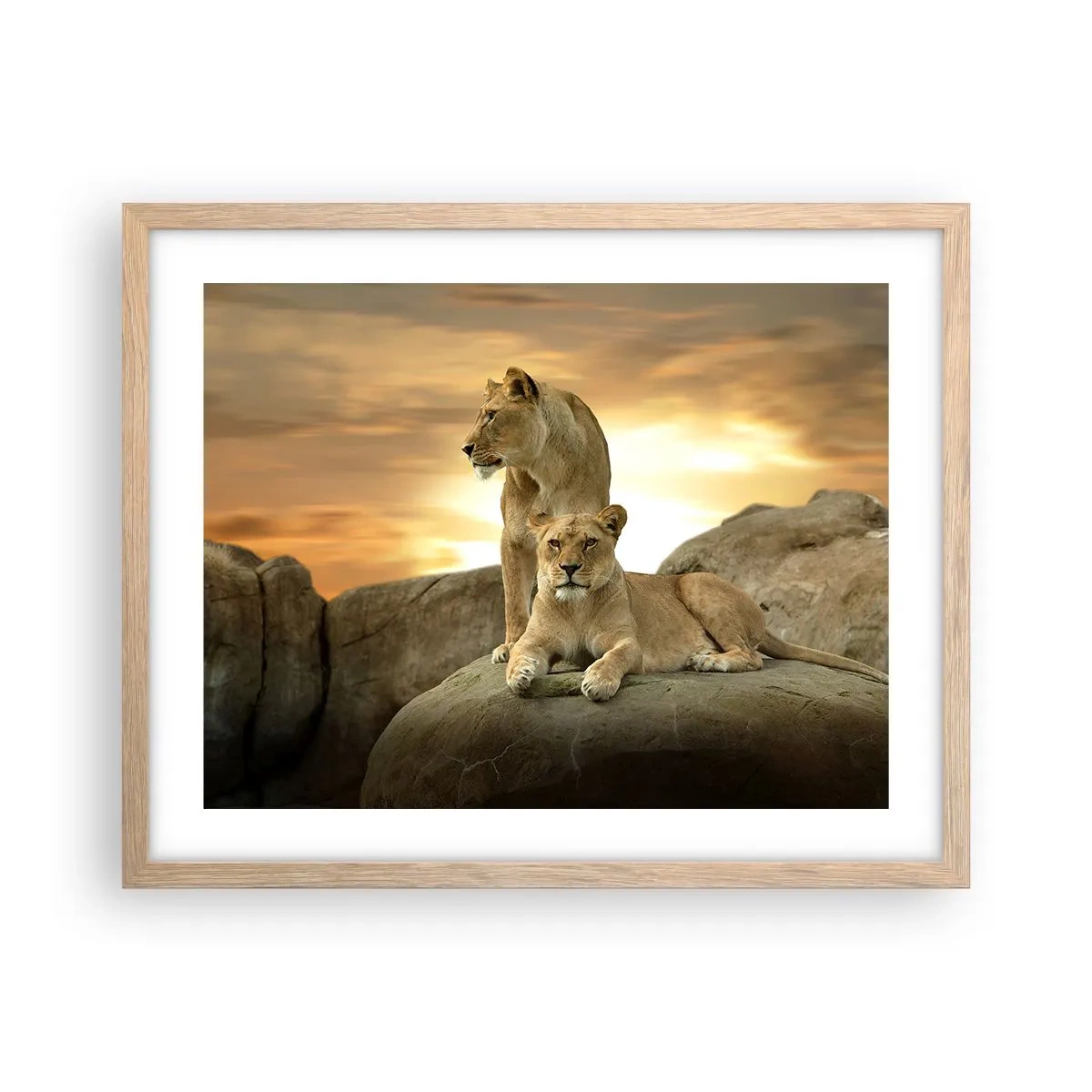 Een poster in een licht eiken lijst - Koninklijke majesteit - 50x40 cm