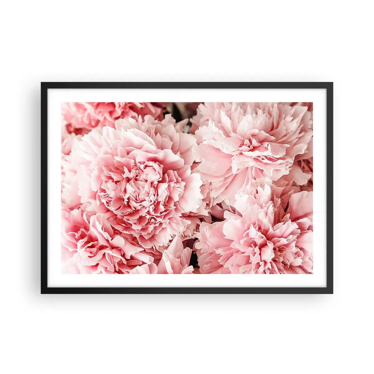 Poster in een zwarte lijst - Roze droom - 70x50 cm