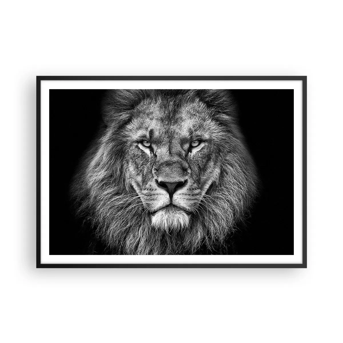 Poster in een zwarte lijst - In een kroningskleed - 100x70 cm