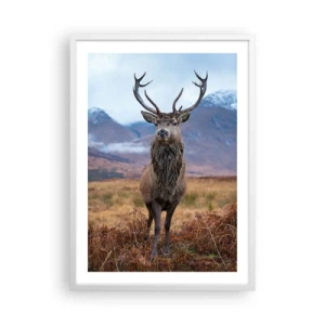 Poster in een witte lijst - Op eigen grond - 50x70 cm
