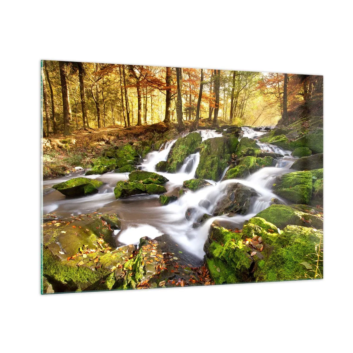 Schilderen op glas - Snel door het herfstbos - 100x70 cm