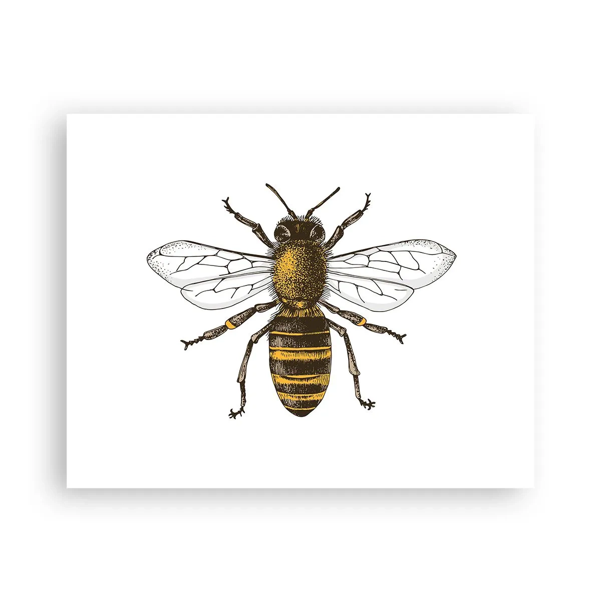 Poster - Mooi en goed - 50x40 cm