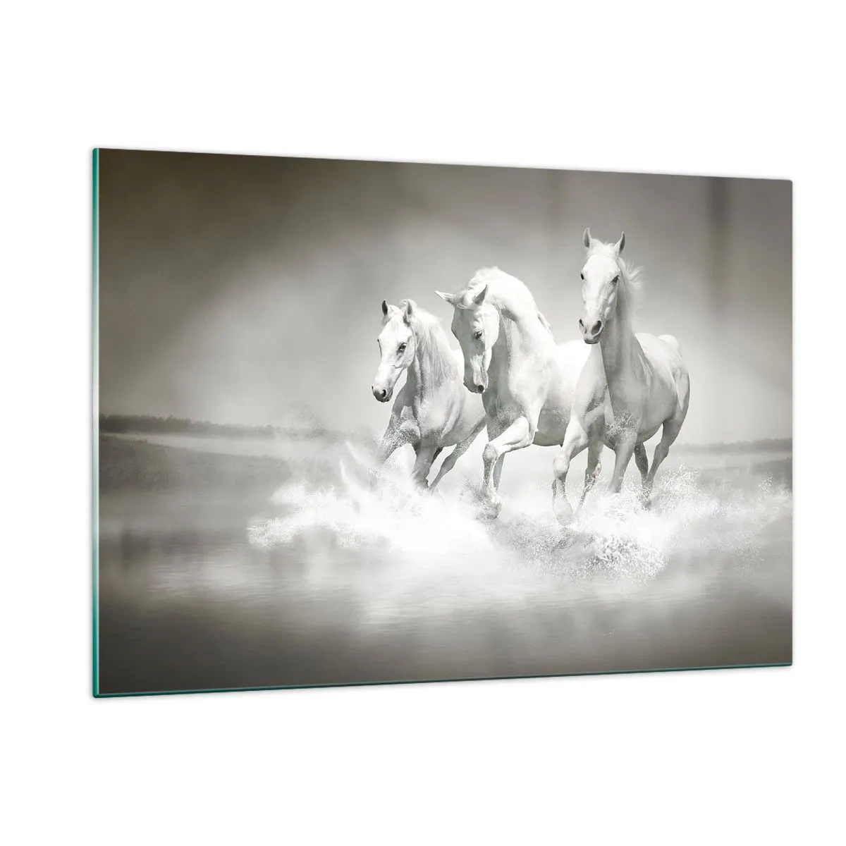 Schilderen op glas - Witte waanzin - 120x80 cm
