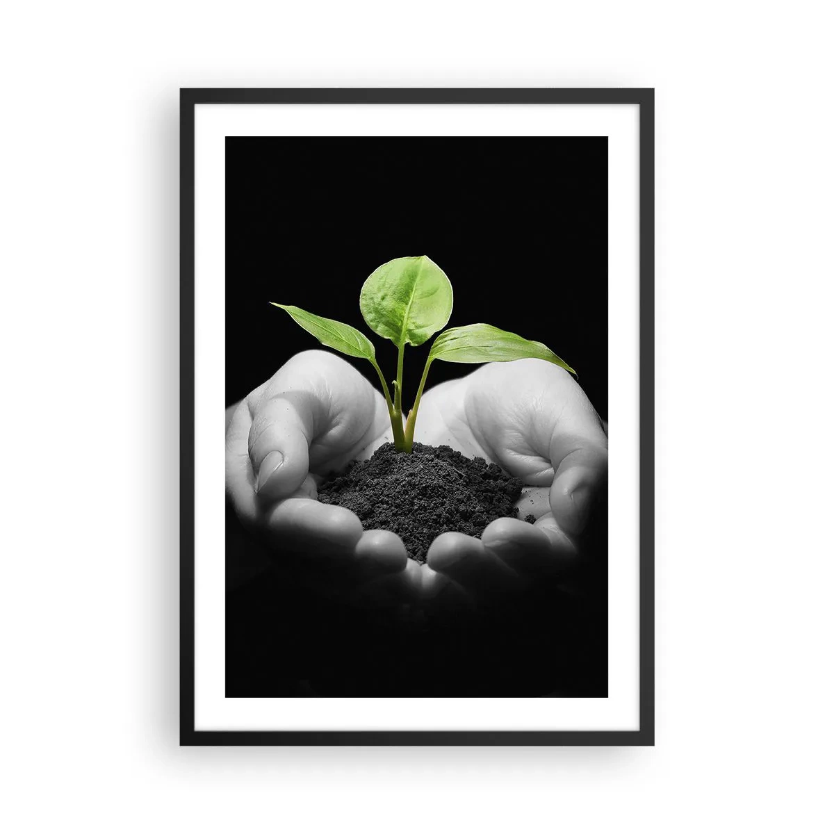 Poster in een zwarte lijst - Een plant in de handen symboliseert het leven en de natuur - 50x70cm - Ik hou van de natuur, ik bescherm haar - Moderne wanddecoratie voor woonkamer en slaapkamer ARTTOR