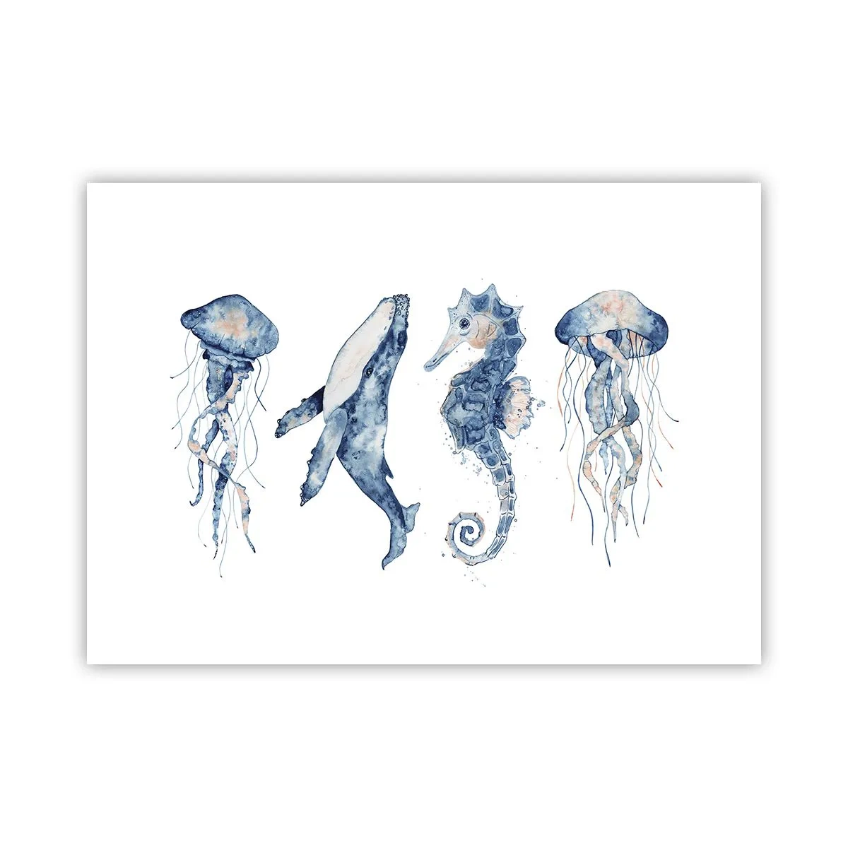 Poster - Zee wonderen - 70x50 cm