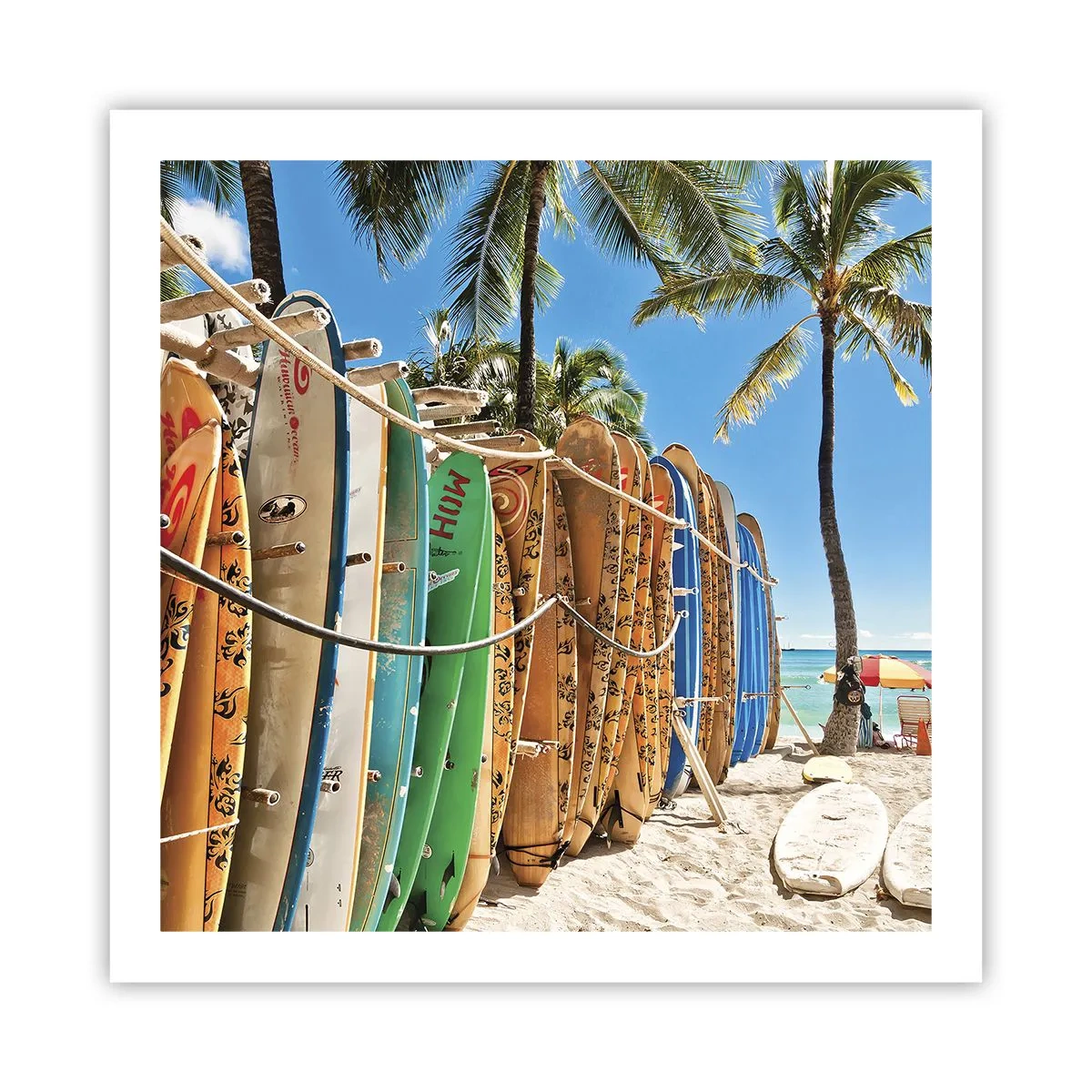 Poster - Zonnig plezier - 60x60 cm