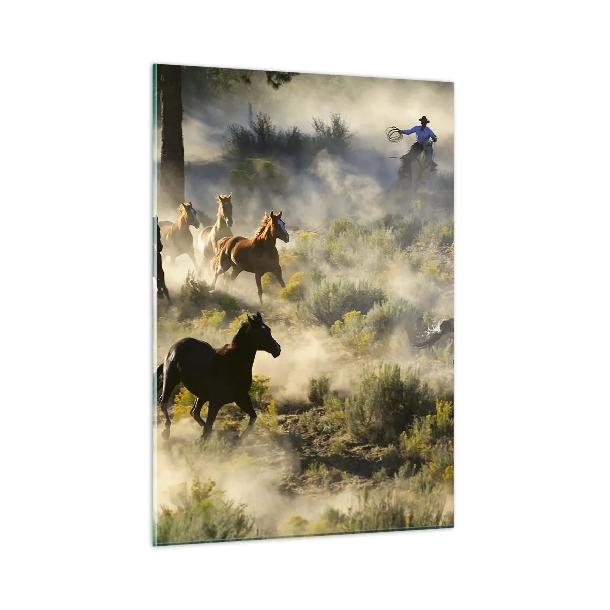 Schilderen op glas - Rivaliteit - vrijheid of mannelijke kracht? - 50x70 cm