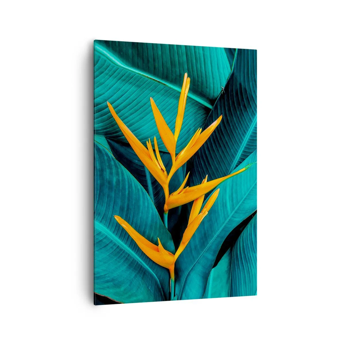 Schilderen op canvas - Eden bloem - 70x100 cm