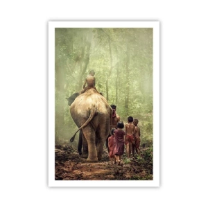 Poster - Nieuw Jungle Boek - 61x91 cm