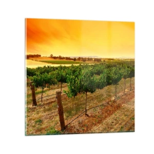Schilderen op glas - Neem een ​​drankje van de zon - 50x50 cm