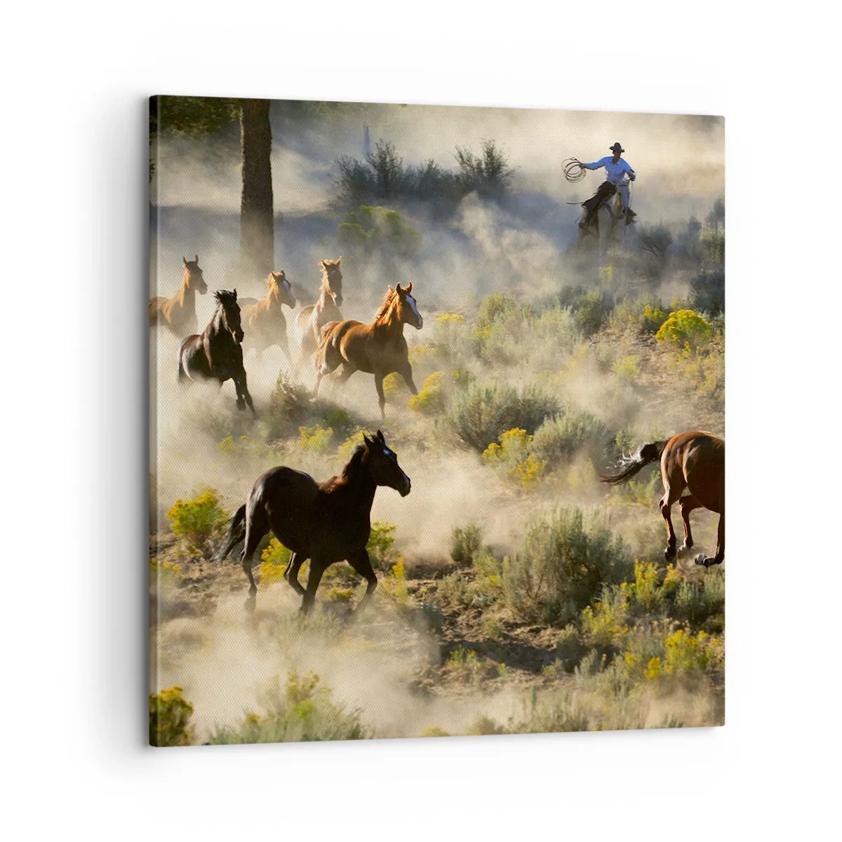 Schilderen op canvas - Rivaliteit - vrijheid of mannelijke kracht? - 60x60 cm