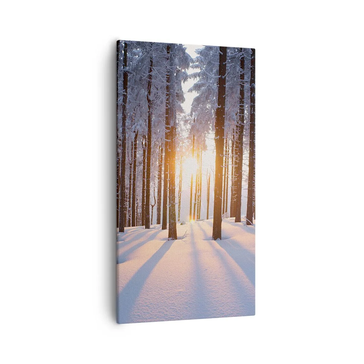 Schilderen op canvas - Duidelijk in zwart-wit - 55x100 cm