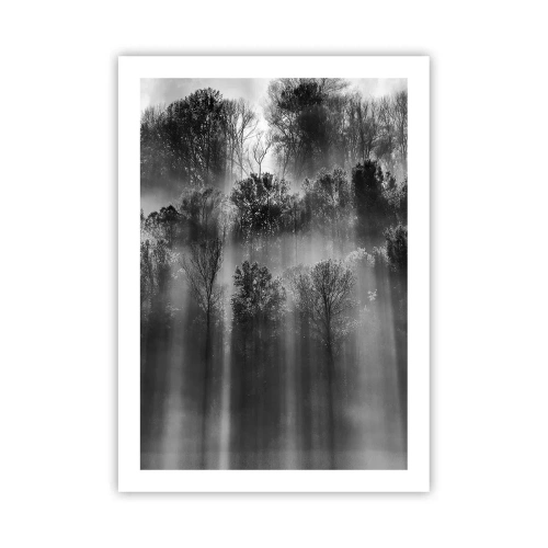 Poster - In stromen van licht - 50x70 cm