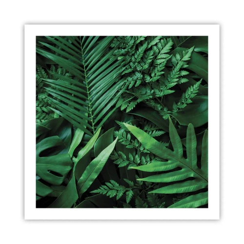 Poster - Ineengedoken in het groen - 60x60 cm