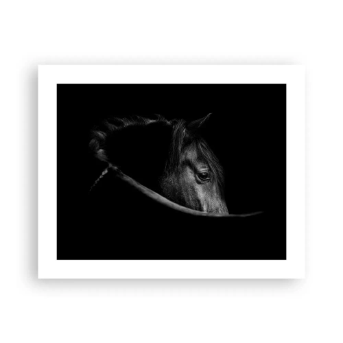 Poster - Zwarte Prins - 50x40 cm