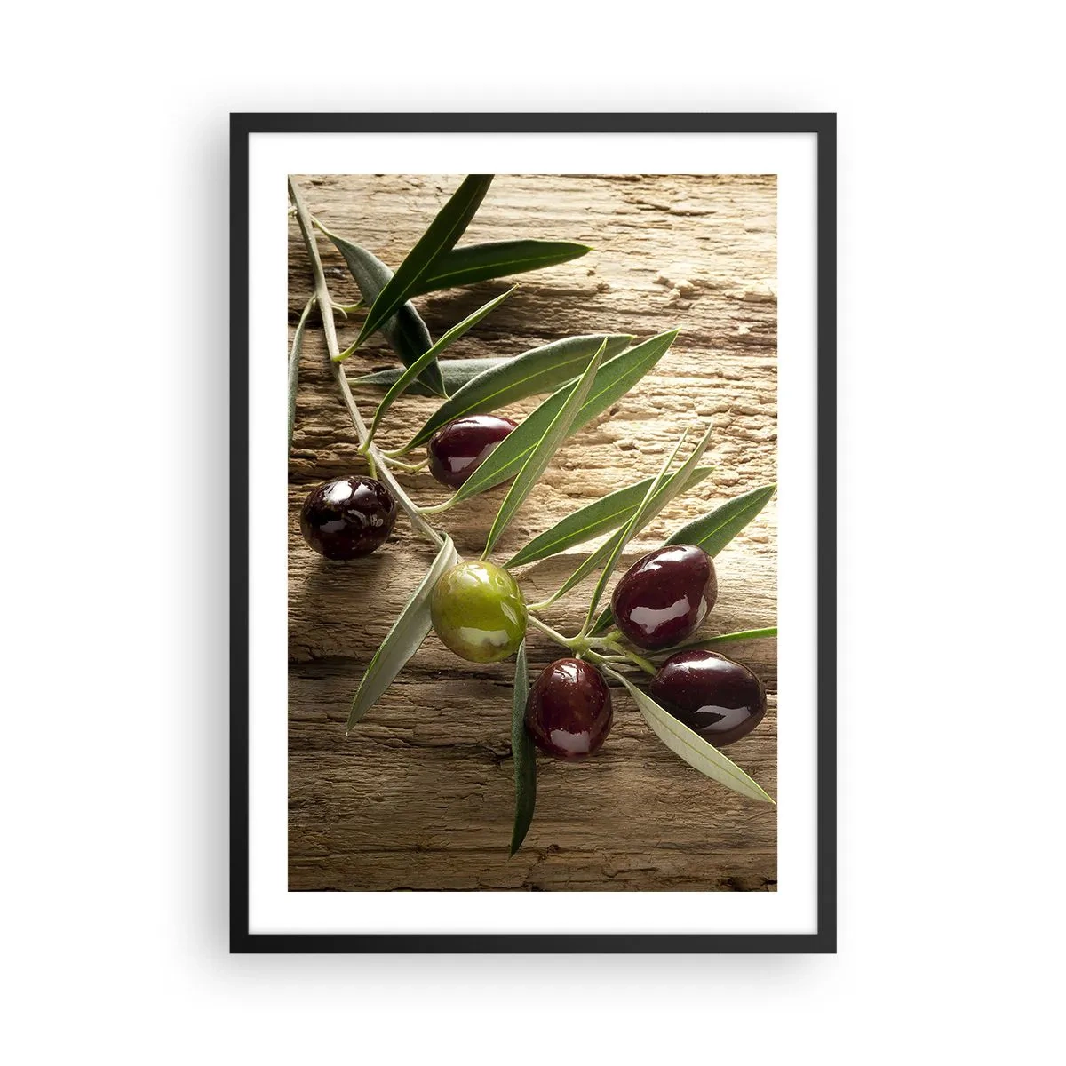 Poster in een zwarte lijst - Olijftak met groene en zwarte olijven - 50x70cm - Rechtstreeks uit de natuur - Moderne wanddecoratie voor woonkamer en slaapkamer ARTTOR