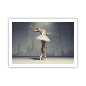 Poster - Licht als een vogel - 70x50 cm