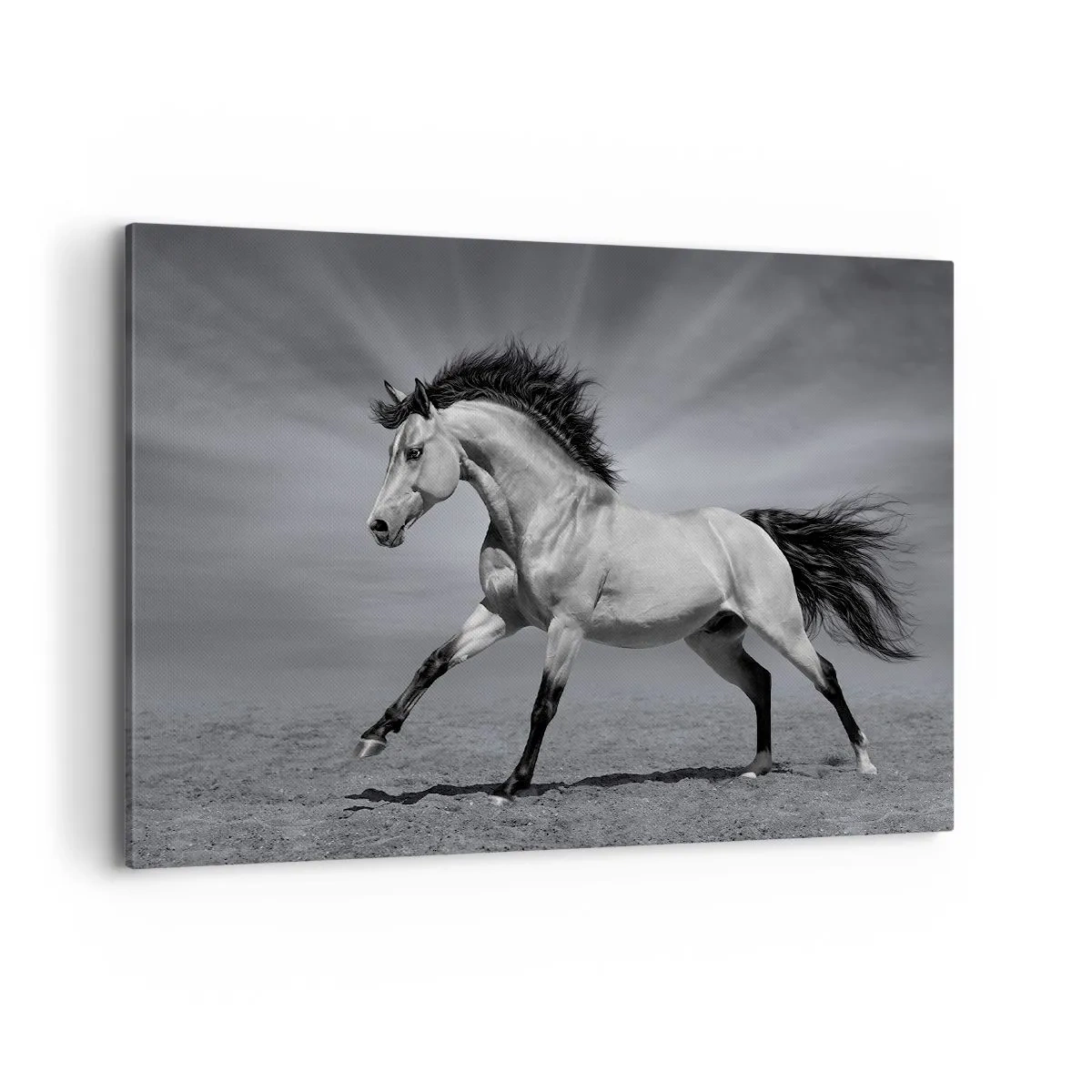 Schilderen op canvas - Geboren om te genieten - 100x70 cm