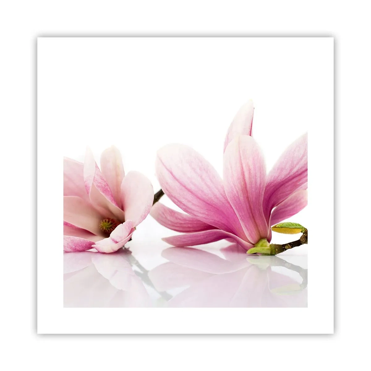 Poster - Delicaat als een lentebriesje - 40x40 cm