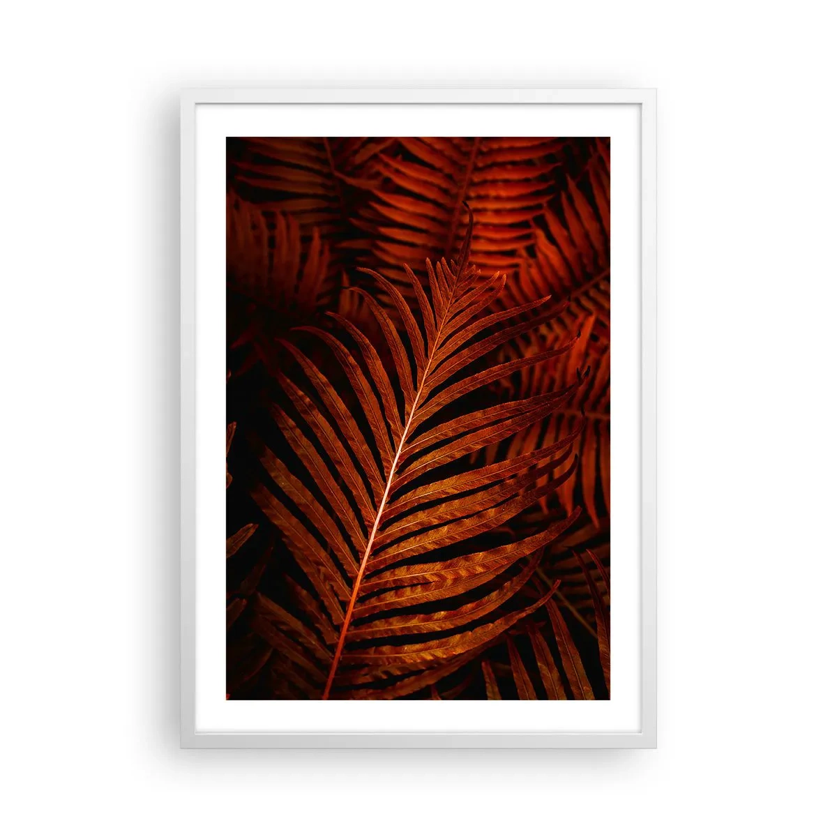 Poster in een witte lijst - De hitte van het leven - 50x70 cm