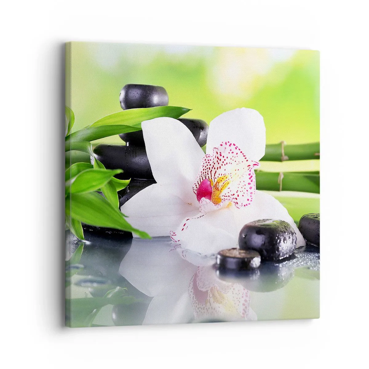 Schilderen op canvas - Koele frisheid - 30x30 cm