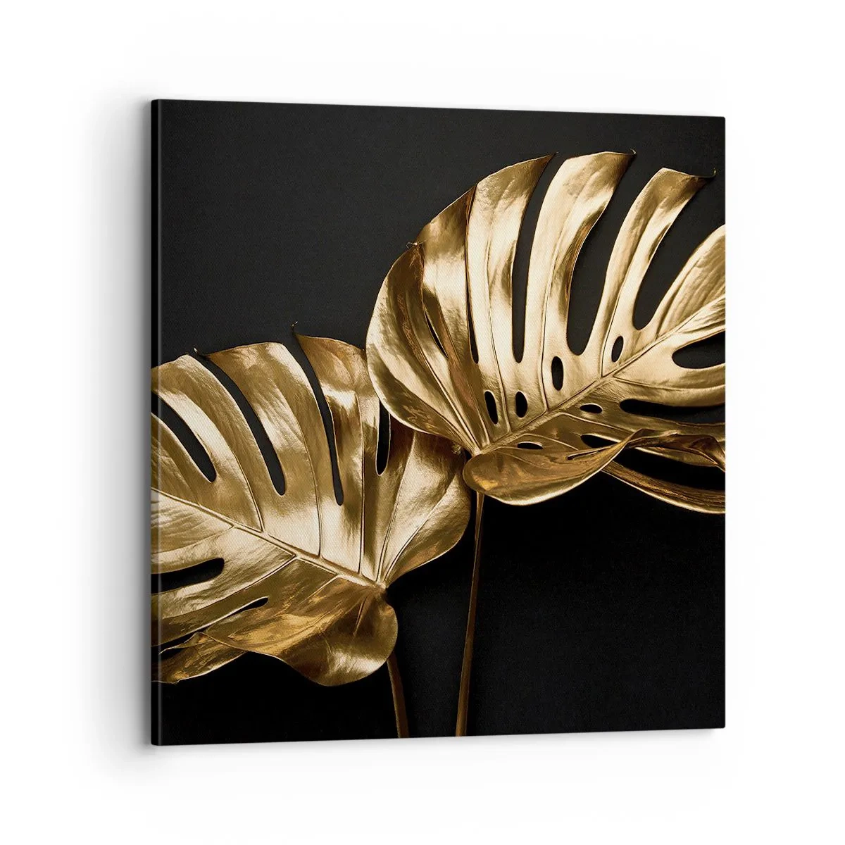 Schilderen op canvas - De schatten van de natuur - 70x70 cm