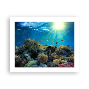 Poster - Onderwater schatten - 50x40 cm