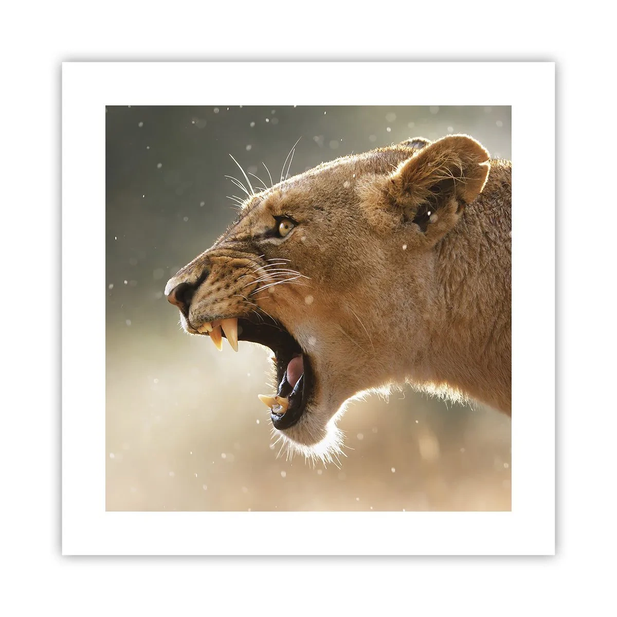Poster - Probeer niet te luisteren - 40x40 cm