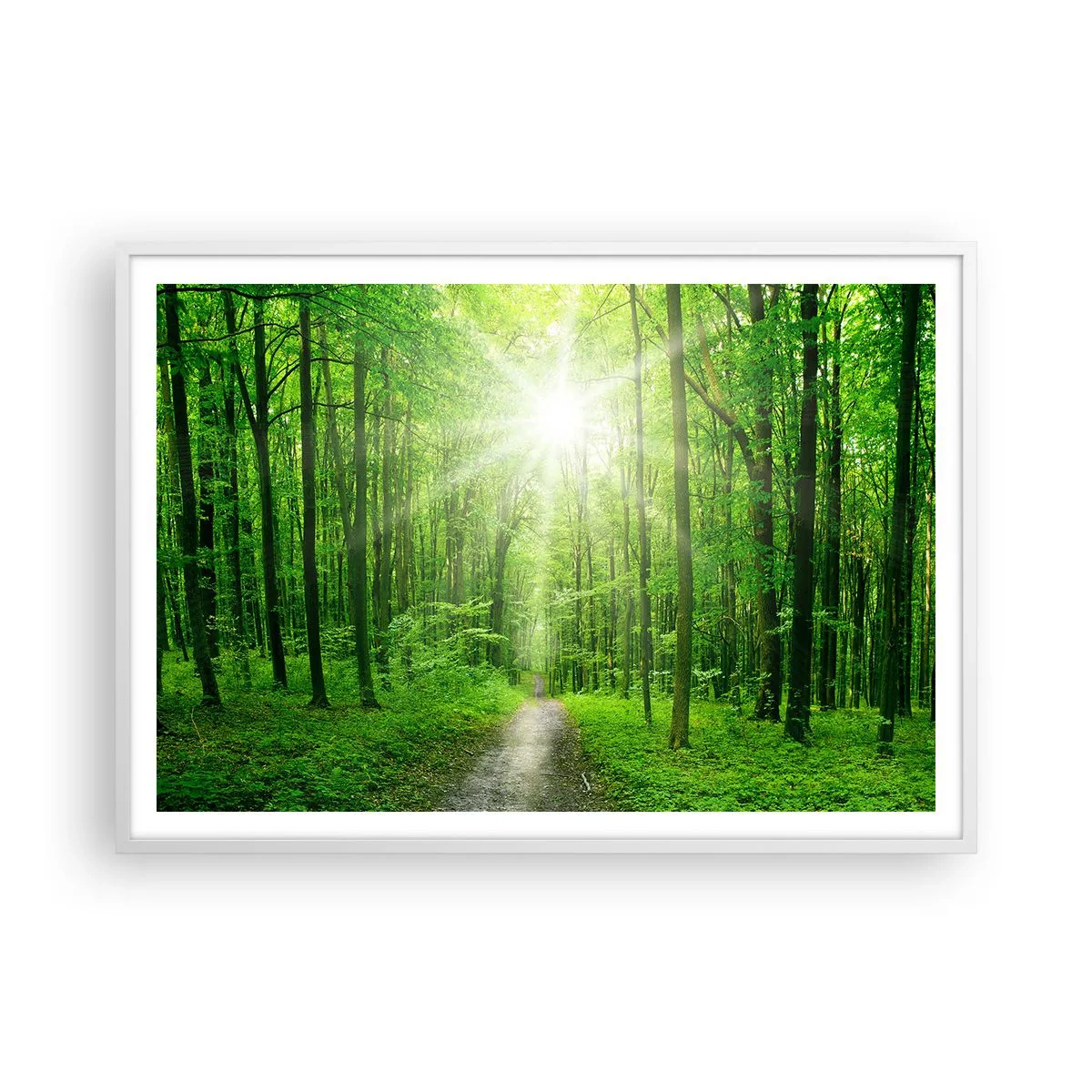 Poster in een witte lijst - De groene kathedraal - 100x70 cm