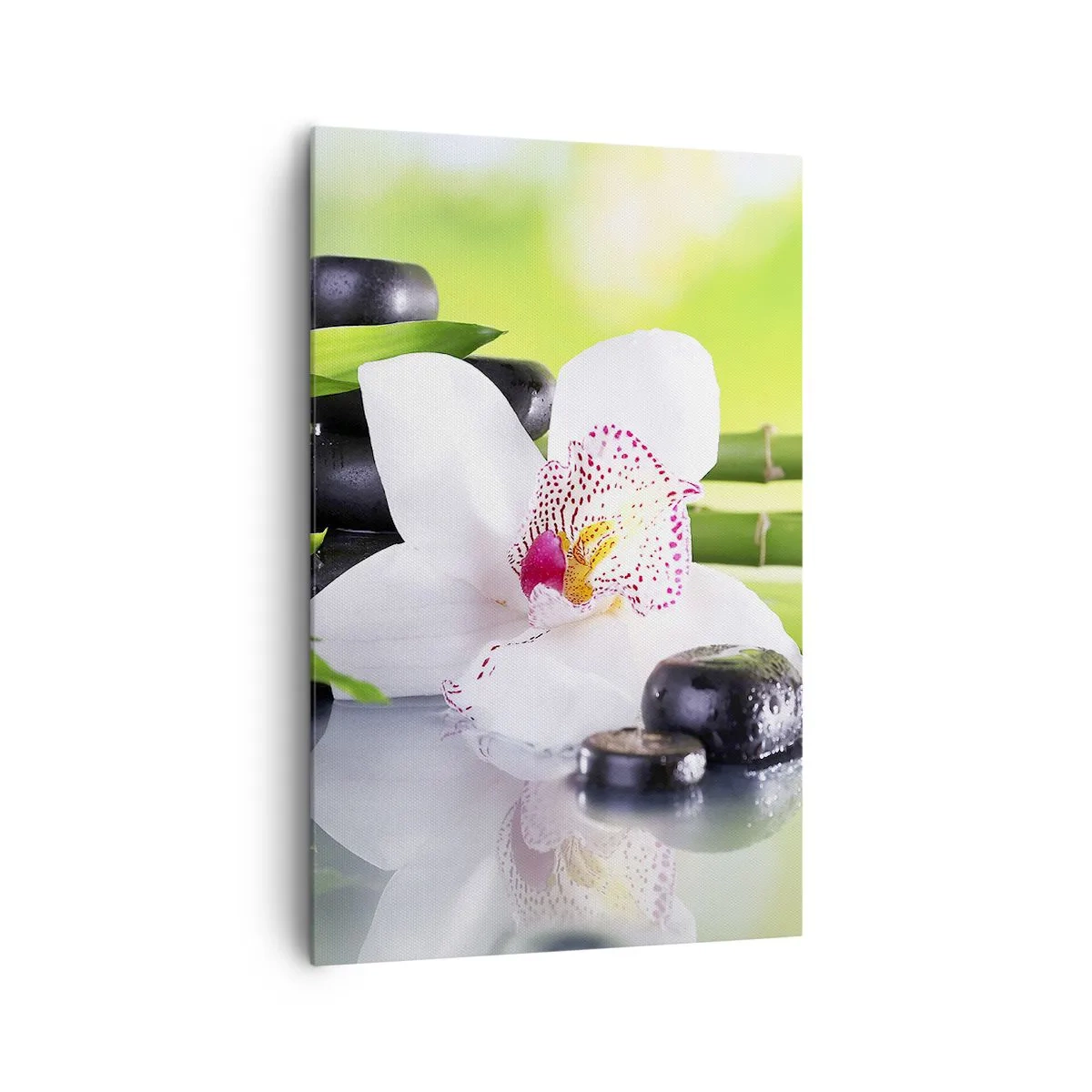 Schilderen op canvas - Koele frisheid - 80x120 cm