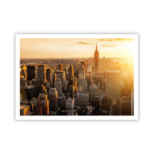Poster - Groeien in de zon - 100x70 cm