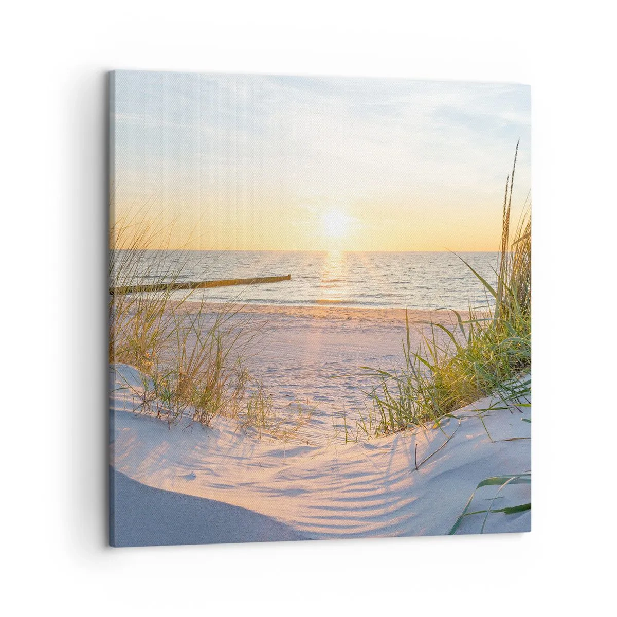 Schilderen op canvas - Het geluid van de zee, het zingen van vogels, een wild strand tussen het gras... - 50x50 cm