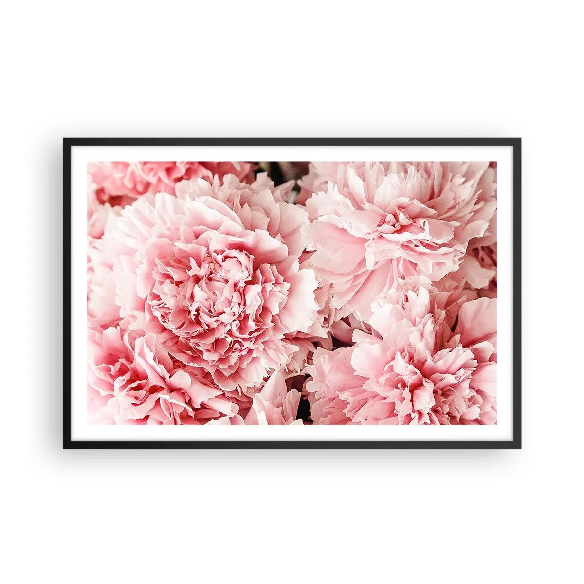 Poster in een zwarte lijst - Roze droom - 91x61 cm
