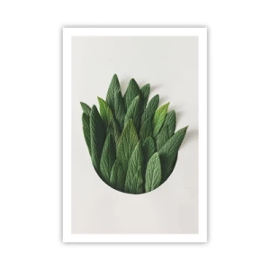 Poster - Ongebreidelde nieuwsgierigheid - 61x91 cm