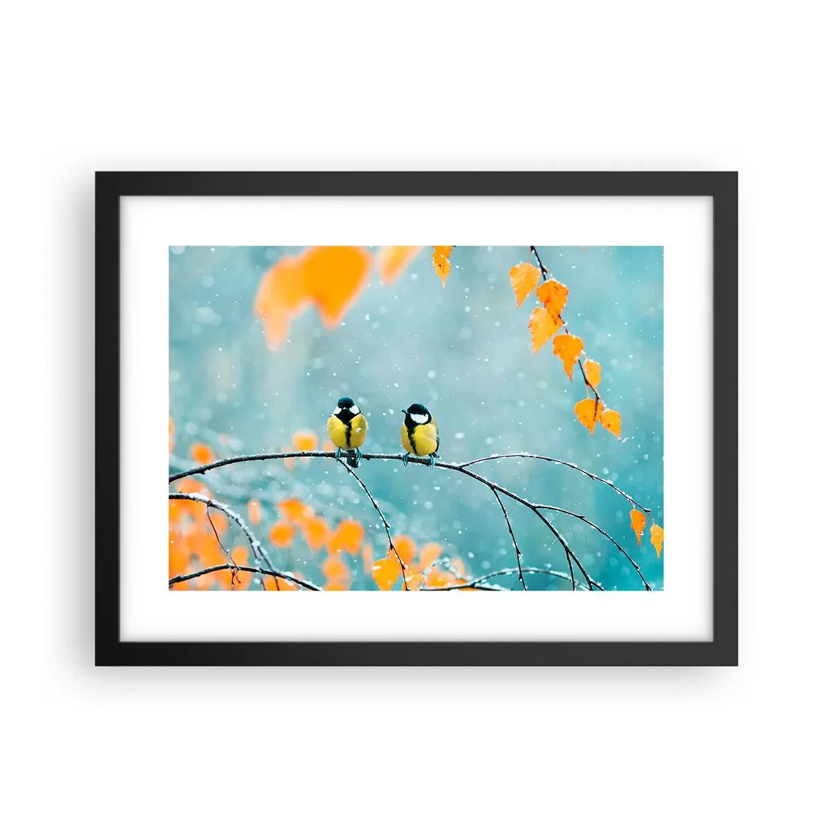 Poster in een zwarte lijst - Vogelroddel - 40x30 cm