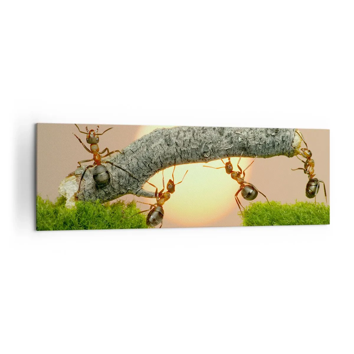 Schilderen op canvas - Gelukkig samenwerken - 160x50 cm