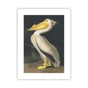 Poster - Vol trots - 30x40 cm