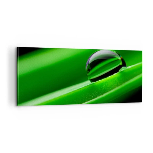 Schilderen op canvas - Leven van dichtbij - 100x40 cm