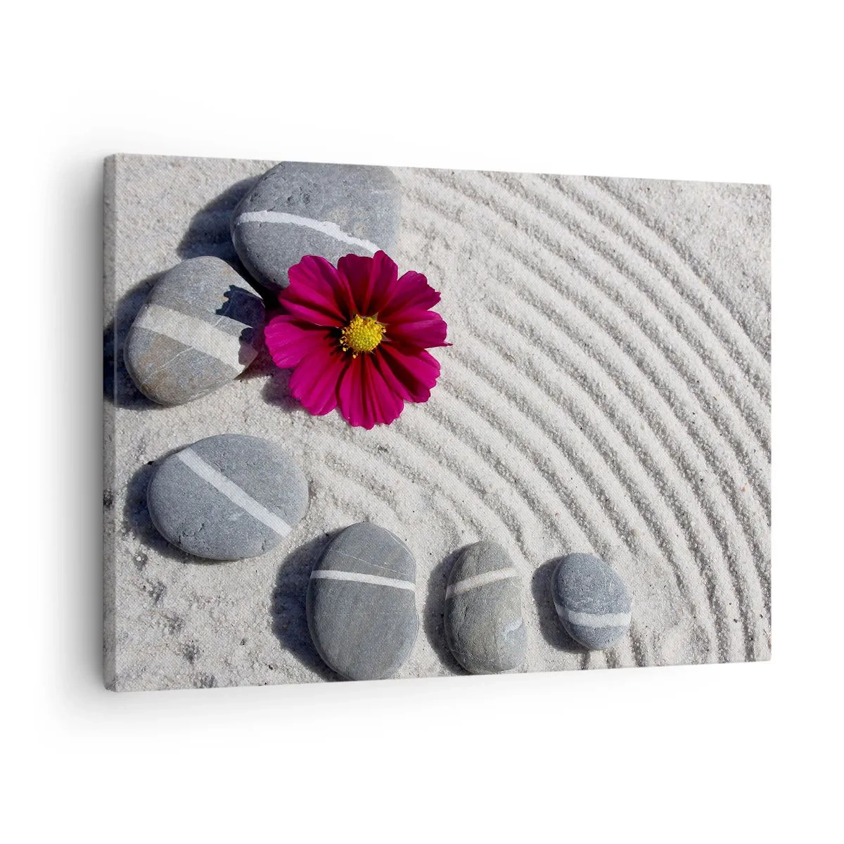 Schilderen op canvas - Stenen en een roze bloem op het zand in zenstijl - 70x50cm - Energie en rust van de magische cirkel van de natuur - Moderne wanddecoratie voor woonkamer en slaapkamer ARTTOR