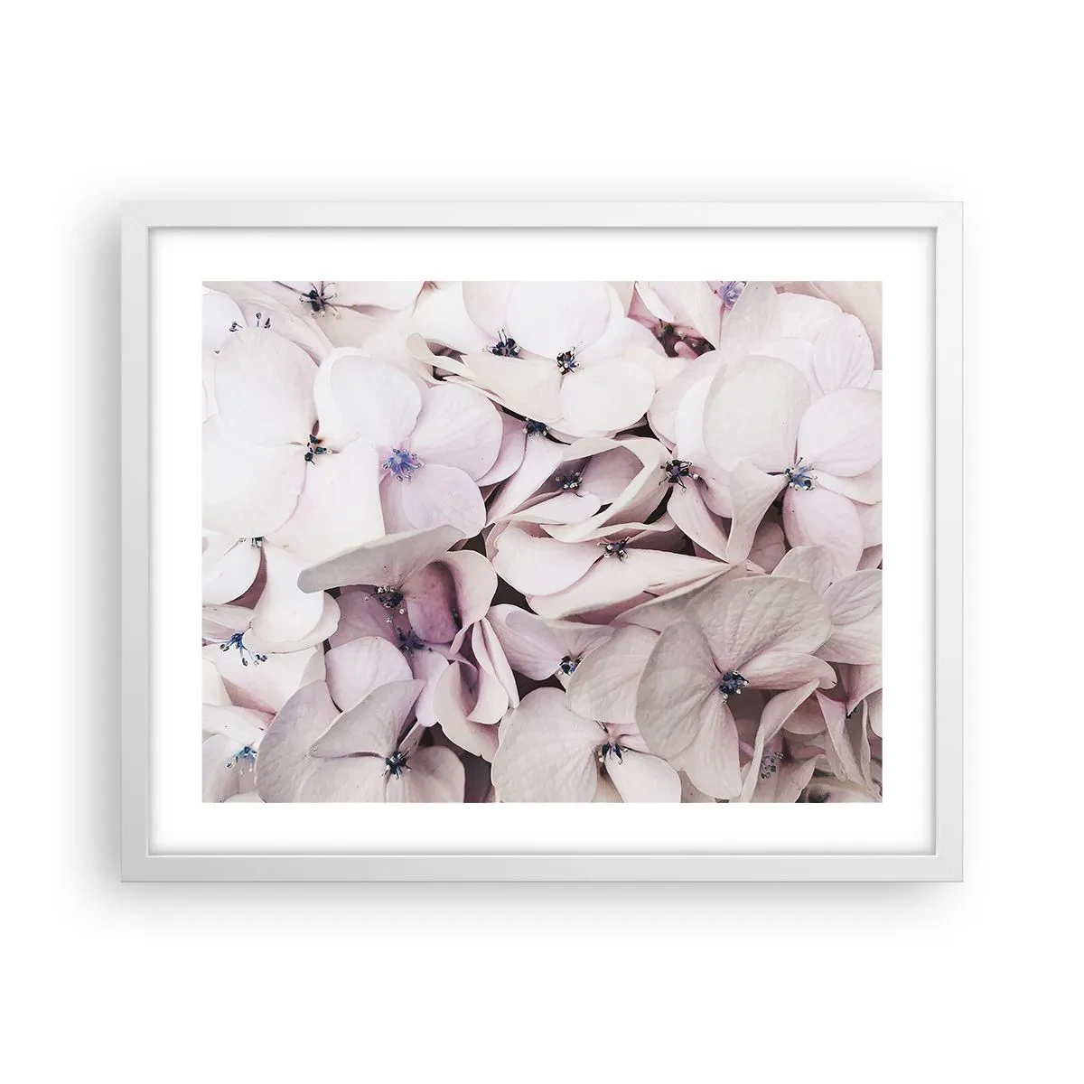 Poster in een witte lijst - In een vloed van bloemen - 50x40 cm