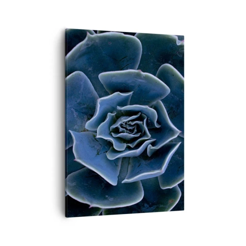 Schilderen op canvas - Woestijn bloem - 50x70 cm