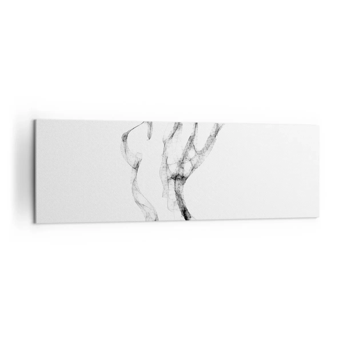 Schilderen op canvas - Mooi en sterk - 160x50 cm