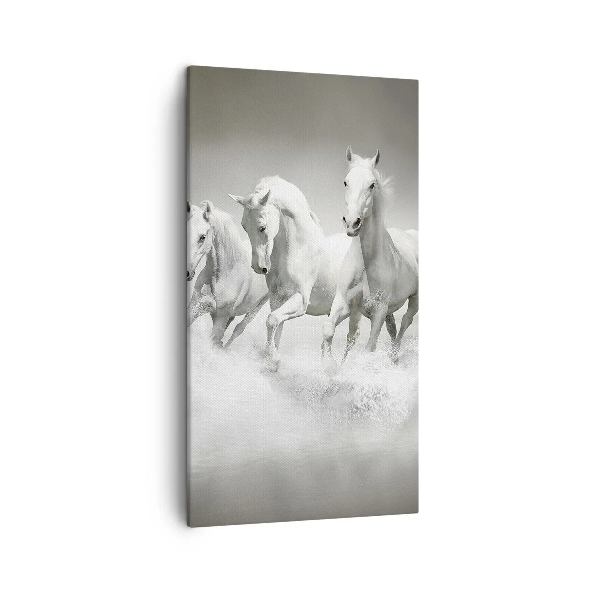 Schilderen op canvas - Witte waanzin - 45x80 cm