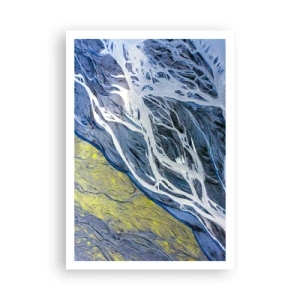 Poster - Rotstekeningen van de natuur - 70x100 cm